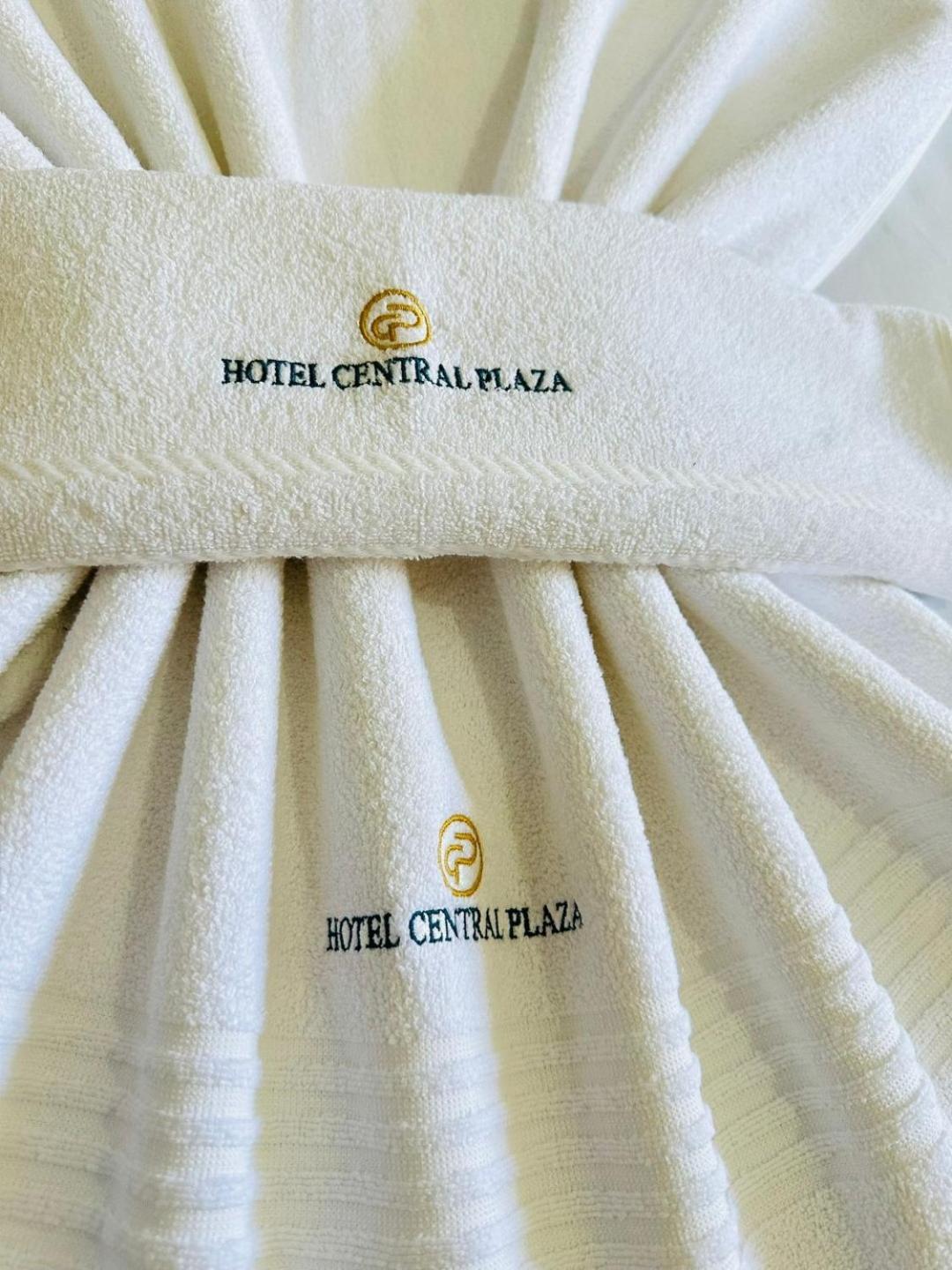 Hotel Central Plaza Timóteo Exteriér fotografie